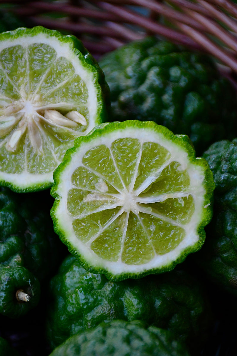 Bergamot Essential Oil